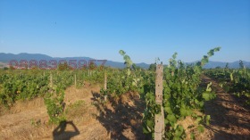 ������� ���������� ���� | Imot.bg � ����� ������ 8