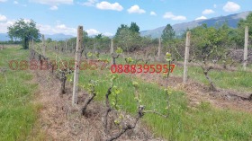 ������� ���������� ���� | Imot.bg � ����� ������ 2