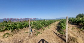 ������� ���������� ���� | Imot.bg � ����� ������ 10