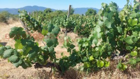 ������� ���������� ���� | Imot.bg � ����� ������ 9