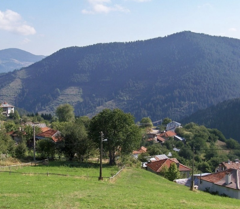 À venda  Trama Região Pernik , Klenovik , 560 m² | 96983125