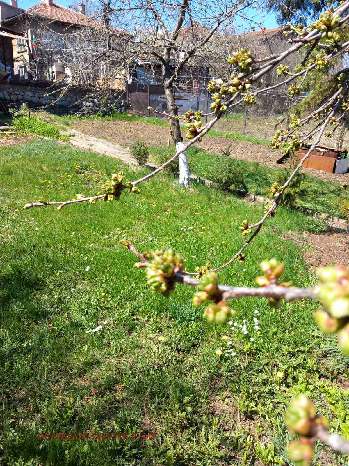 Продава КЪЩА, гр. Перник, Ралица, снимка 6 - Къщи - 52388236