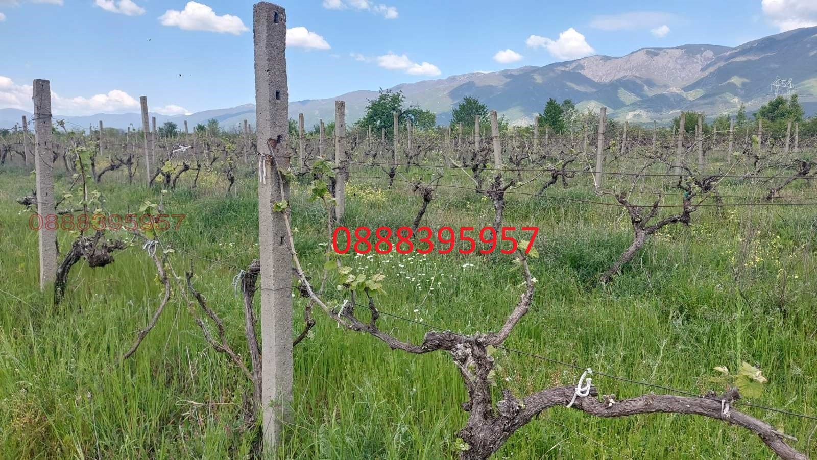 Продава ЗЕМЕДЕЛСКА ЗЕМЯ, гр. Сопот, област Пловдив, снимка 2 - Земеделска земя - 54088582