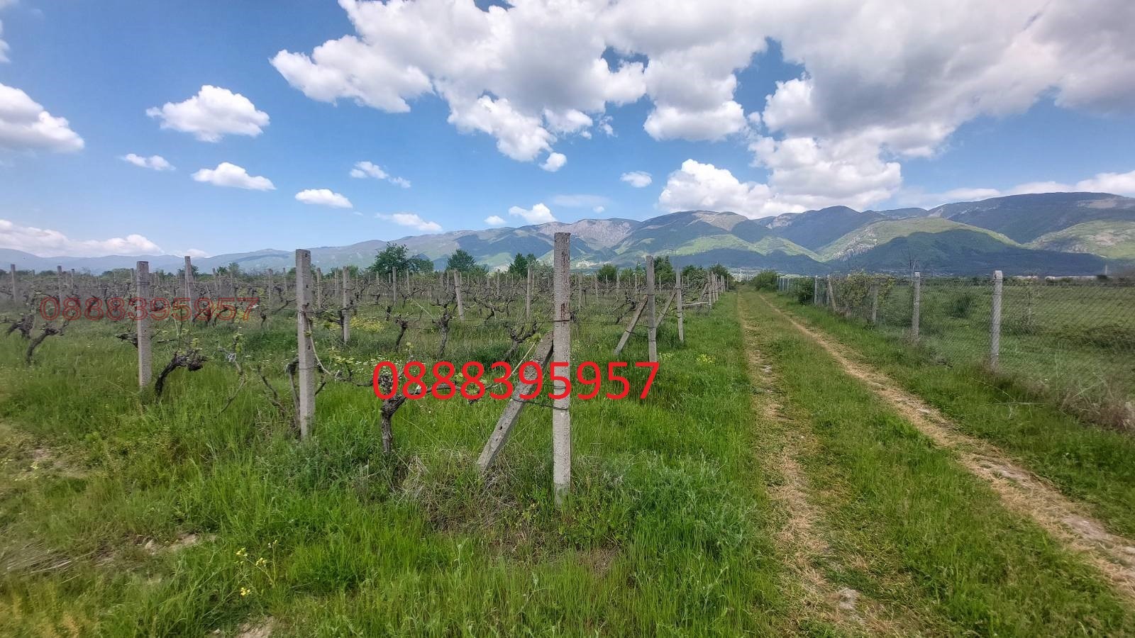 Продава ЗЕМЕДЕЛСКА ЗЕМЯ, гр. Сопот, област Пловдив, снимка 3 - Земеделска земя - 54088582