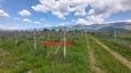 Продава ЗЕМЕДЕЛСКА ЗЕМЯ, гр. Сопот, област Пловдив, снимка 3