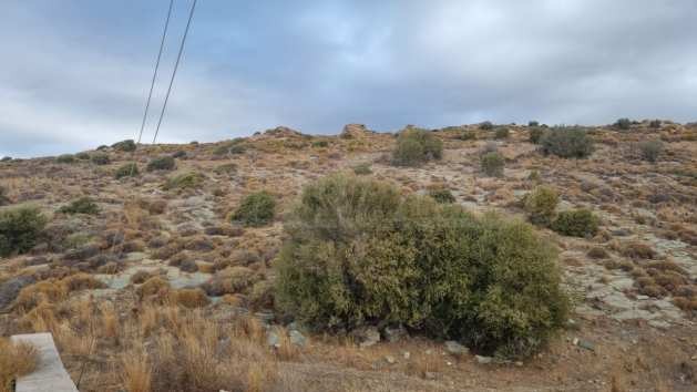 Продава ПАРЦЕЛ | Imot.bg — изображение 1