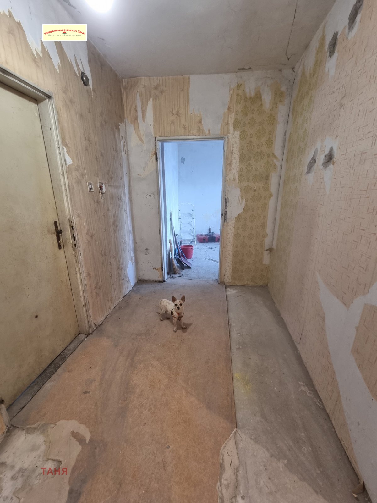 ������� 1-����� | Imot.bg � ����������� 8