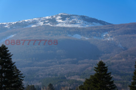 ������� ���� | Imot.bg � ����� ������ 10