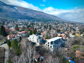 ����� ������� ����,���� �����, ����������