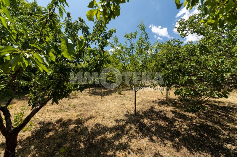 Продается  Сюжет Варна , м-т Манастирски рид , 1016 кв.м | 71548389 - изображение [11]
