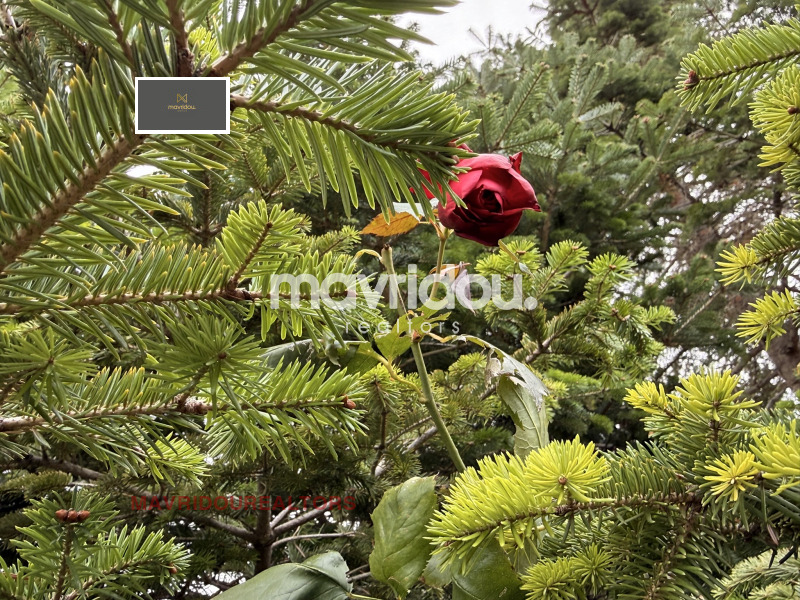 ������� ������ | Imot.bg � ����������� 10