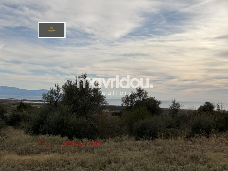 ������� ������ | Imot.bg � ����������� 5