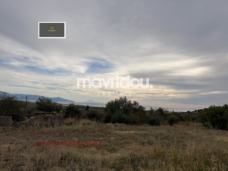 ������� ������ | Imot.bg � ����������� 6