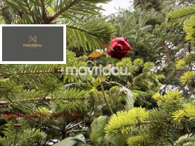������� ������ | Imot.bg � ����� ������ 10