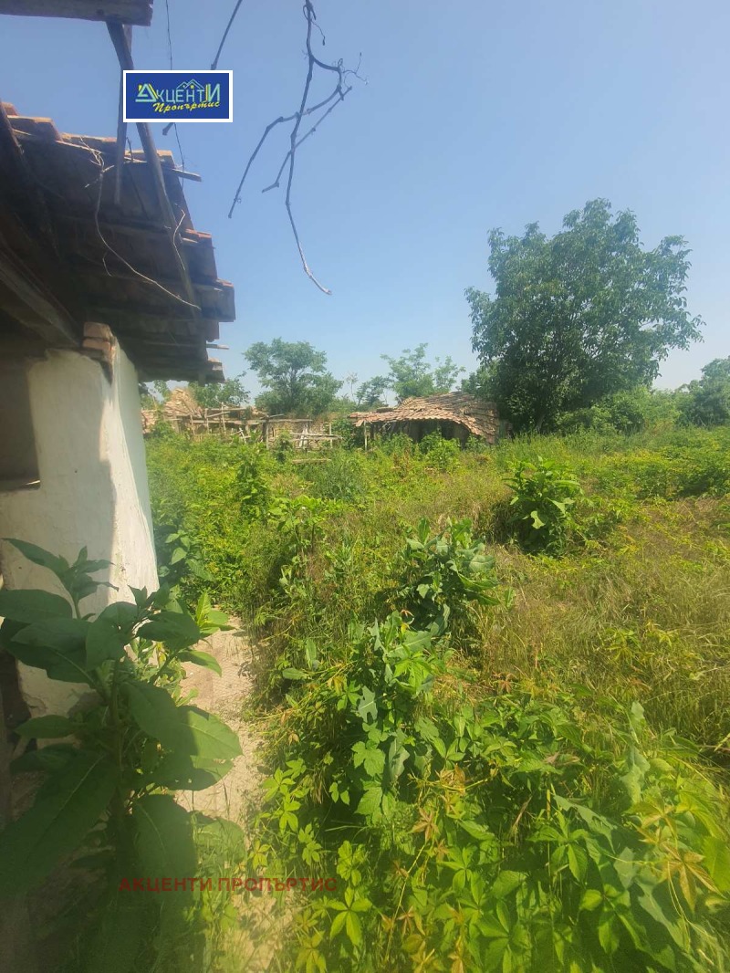 Til salgs  Hus region Veliko Tarnovo , Daskot , 100 kvm | 70753620 - bilde [13]