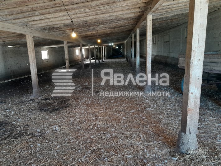 Продава ПРОМ. ПОМЕЩЕНИЕ, с. Чоба, област Пловдив, снимка 6 - Производствени сгради - 53026356