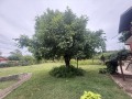 Продава КЪЩА, област Габрово, с. Шумата • 115000 € • 65928052 — Holmes.bg