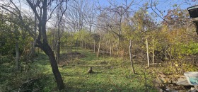 ����� ������� ������,���� ����, �.�. �����������