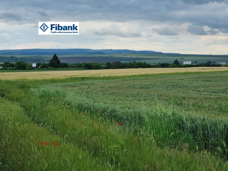 Продава  Земеделска земя област Варна , гр. Игнатиево , 5313 дка | 88557229