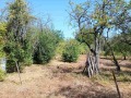 Продава  Вила област Габрово , гр. Севлиево , 40 кв.м | 33739966 - изображение [6]
