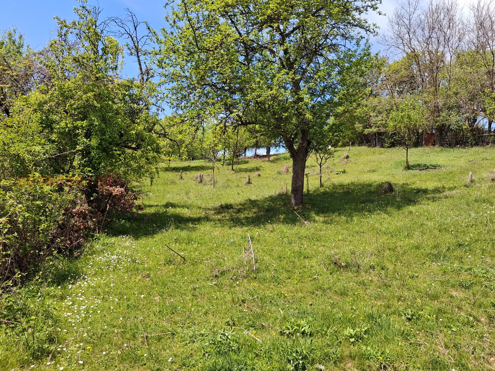 Продава КЪЩА, с. Горна Врабча, област Перник, снимка 13 - Къщи - 53696963