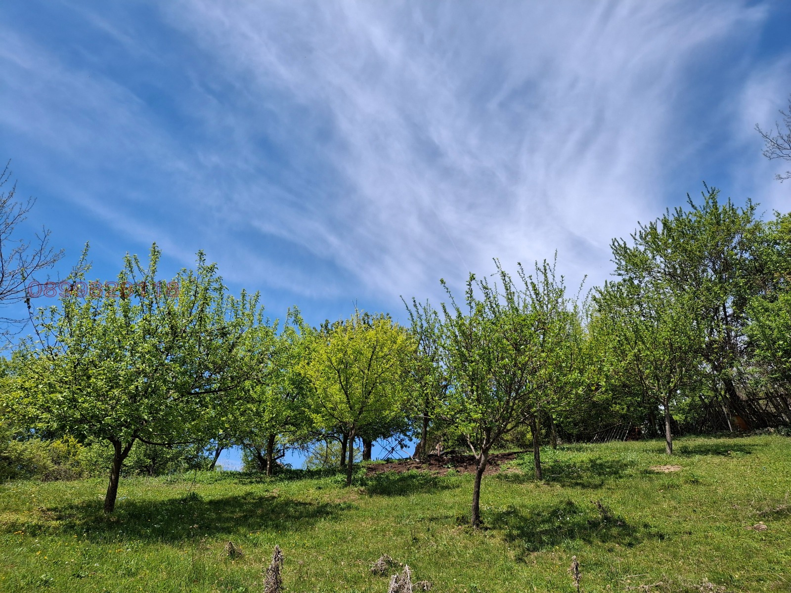 Продава КЪЩА, с. Горна Врабча, област Перник, снимка 12 - Къщи - 53696963