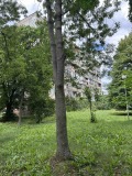 Продава 3-СТАЕН, гр. София, Хиподрума, снимка 1