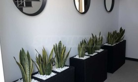 ����� ������� 3-�����,���� �����, ����� - ������