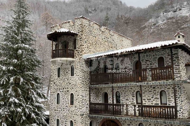 Продава ХОТЕЛ, с. Пастра, област Кюстендил, снимка 2 - Хотели - 53382007