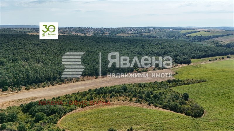 Продава ПАРЦЕЛ, с. Бенковски, област Варна, снимка 2 - Парцели - 55850908