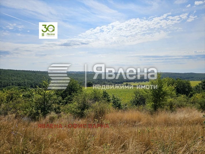 Продава ПАРЦЕЛ, с. Бенковски, област Варна, снимка 4 - Парцели - 55850908