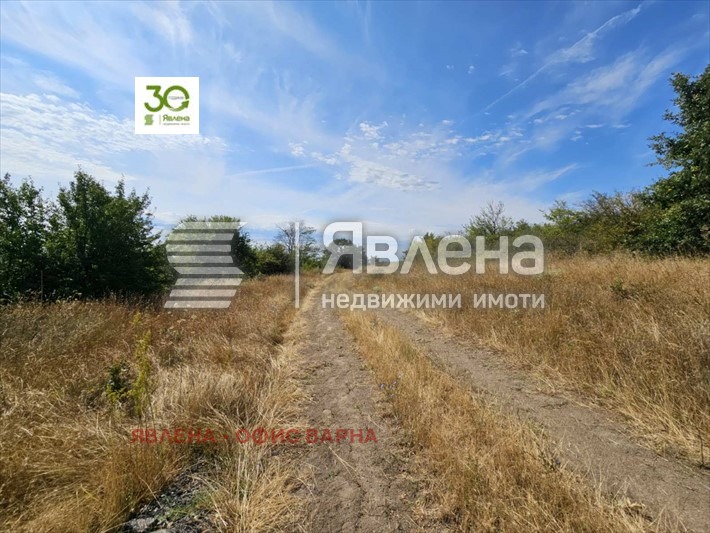 Продава ПАРЦЕЛ, с. Бенковски, област Варна, снимка 5 - Парцели - 55850908