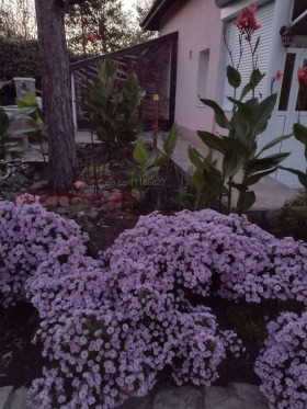 ������� ���� | Imot.bg � ����� ������ 2