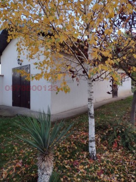 ������� ���� | Imot.bg � ����� ������ 11