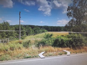 ����� ������� ������,���� �����, ��������