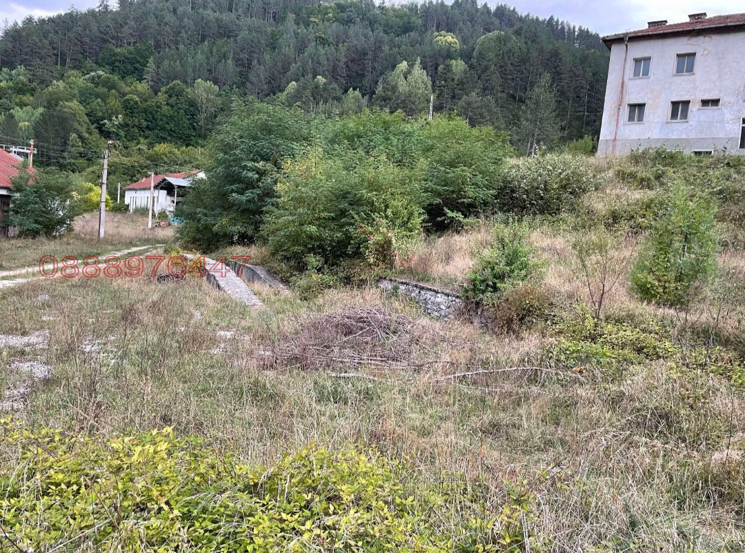 Продава ПАРЦЕЛ, гр. Девин, област Смолян, снимка 4 - Парцели - 53624675