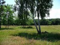 Продава ПАРЦЕЛ, с. Рудник, област Варна, снимка 2