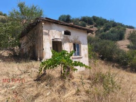 ������ ������� ����