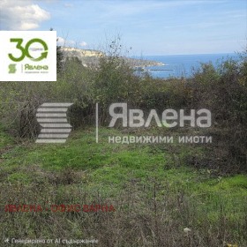 ������ ������� ������