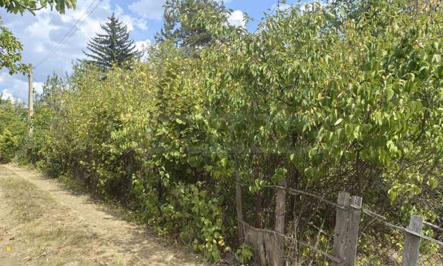Продава ПАРЦЕЛ, с. Горни Окол, област София област, снимка 2 - Парцели - 51682039