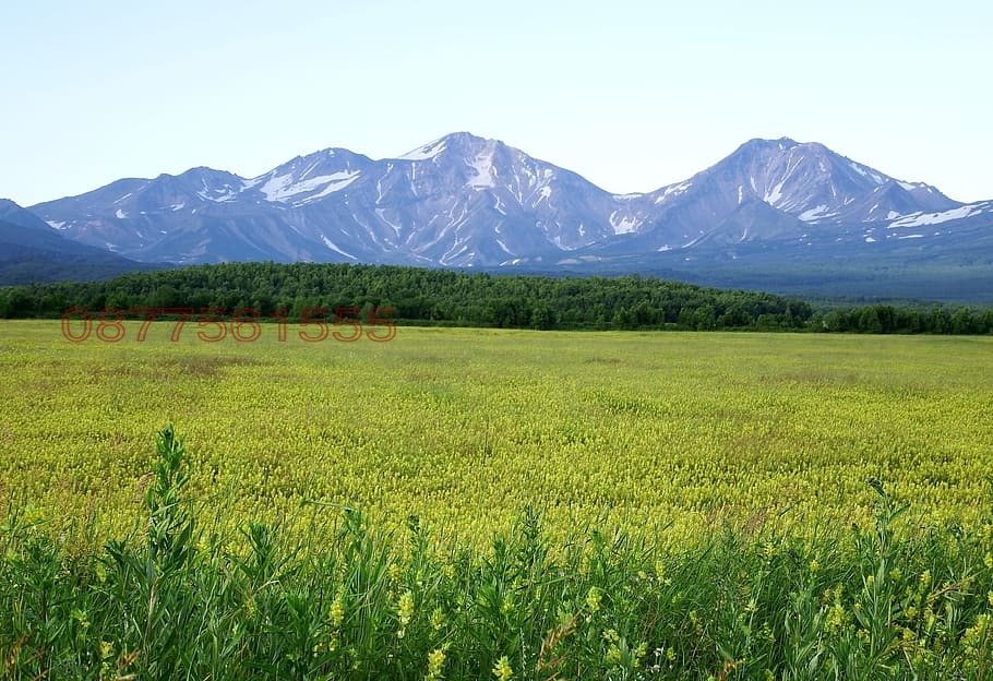 Продава ЗЕМЕДЕЛСКА ЗЕМЯ, с. Бошуля, област Пазарджик