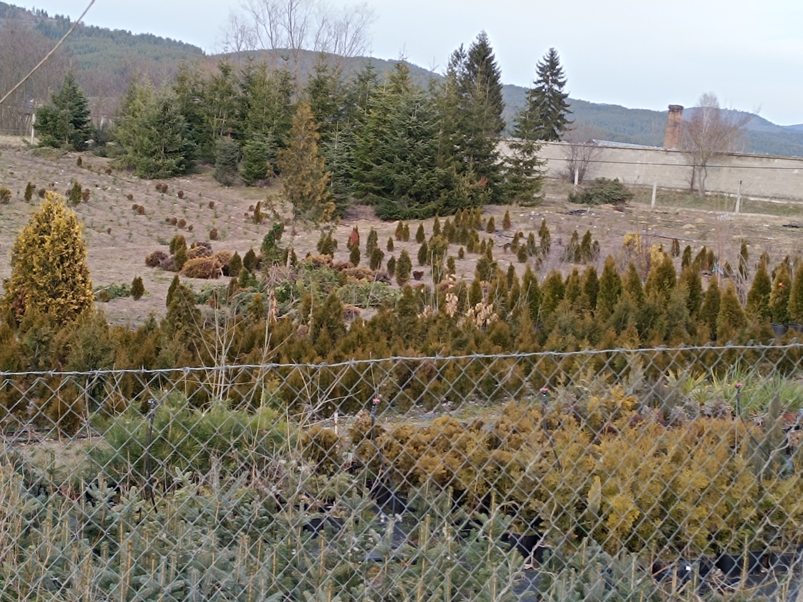 ������� ���������� ���� | Imot.bg � ����������� 2