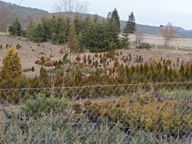 ������� ���������� ���� | Imot.bg � ����� ������ 2