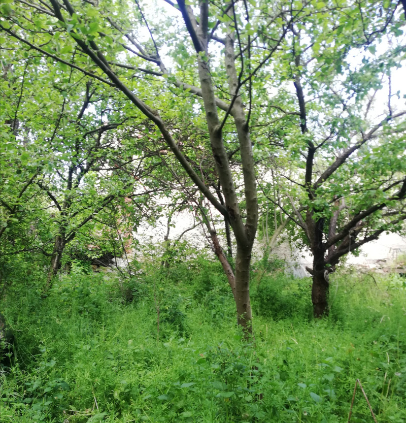 For Sale  House Pernik , Ralitsa , 150 sq.m | 27883144 - image [14]