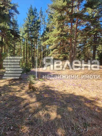 Продава КЪЩА, с. Бели Искър, област София област, снимка 11 - Къщи - 54419245