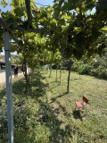 Продава  Къща област Плевен , гр. Пордим , 30 кв.м | 73884403 - изображение [4]