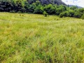 Продава  Парцел област Кюстендил , гр. Сапарева баня , 9100 кв.м | 12969073 - изображение [4]