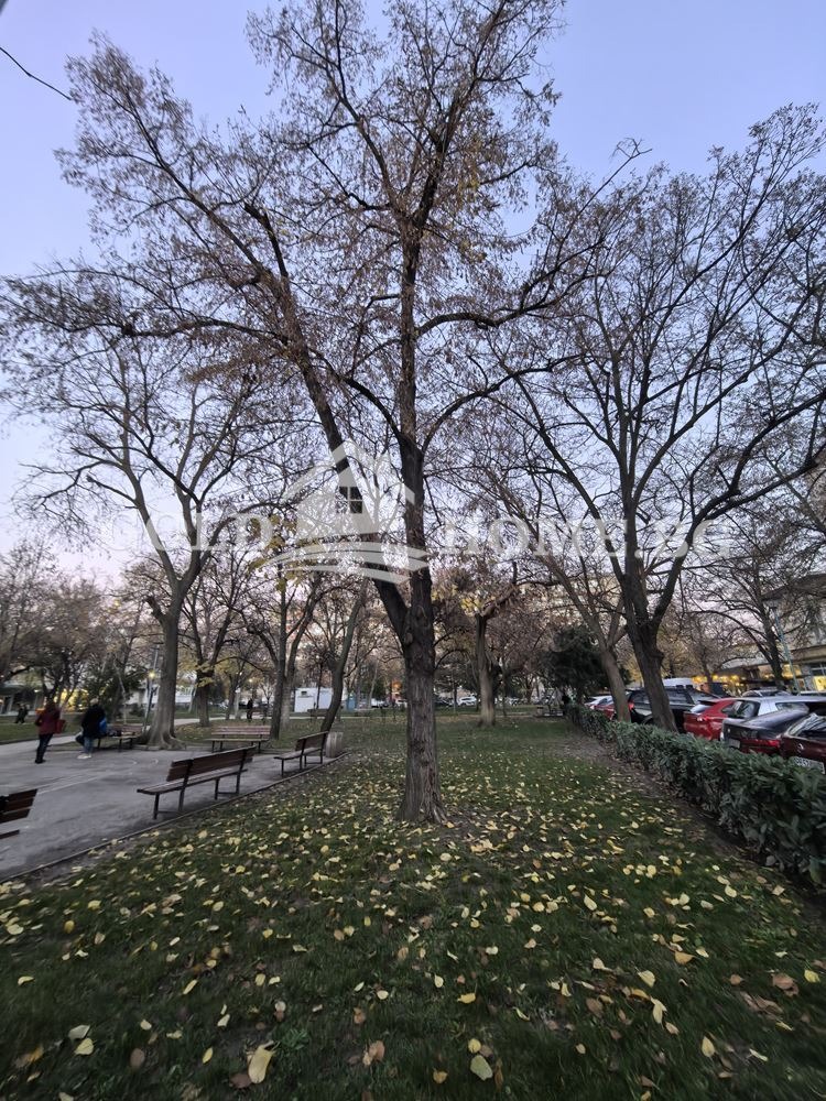 ������� 2-����� | Imot.bg � ����������� 13