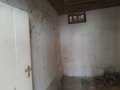 Продава КЪЩА, област Плевен, с. Беглеж • 25000 лв. • 70184156 — Holmes.bg