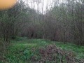 Продава КЪЩА, област Плевен, с. Беглеж • 25000 лв. • 70184156 — Holmes.bg